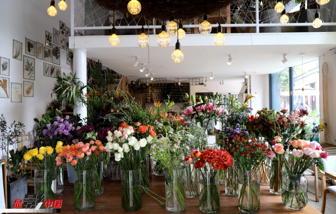 從決定從事鮮花這個行業(yè)以來，王黎媛花了很多的時間和精力去學習花藝，不斷提高自己的專業(yè)水平。而在小店的選址、裝修和布置方面，王黎媛同樣花費了不少心思，“希望我的小店和鮮花一樣，是有溫度的、鮮活的?！绷硗?，小小的花店也藏著大大的夢想，“我們云南鮮花很多，但真正做成品牌的卻很少，這是非?？上У?。我希望把我的店做成品牌，不光能扎根昆明，還能落地到云南的其他城市，甚至省外的城市?！眻D為王黎媛的花店一角。新華網(wǎng) 周亞平/攝 念新洪/文